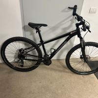 cannondale trail 6