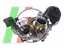 Immagine 2