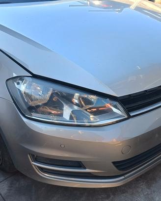 Ricambi Golf 7 1.6 TDI 2014