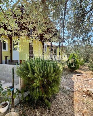 Terreno Con Casetta Li punti