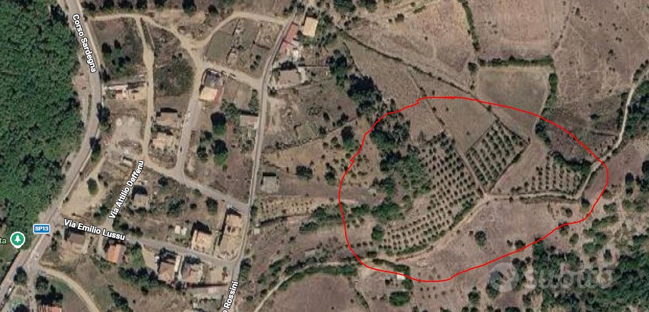 Terreno edificabile con uliveto - Vista 5