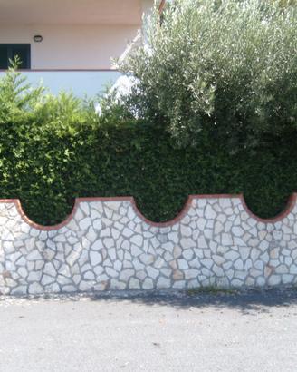 Splendida casa al mare