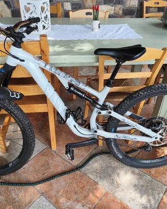 canyon  da enduro