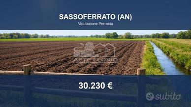 Immobile in asta di 69132 m² a Sassoferrato