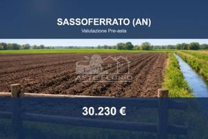Immobile in asta di 69132 m² a Sassoferrato