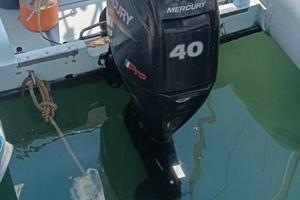 Motore marino Fuoribordo MERCURY F 40 ELPT EFI PRO
