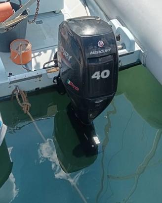 Motore marino Fuoribordo MERCURY F 40 ELPT EFI PRO