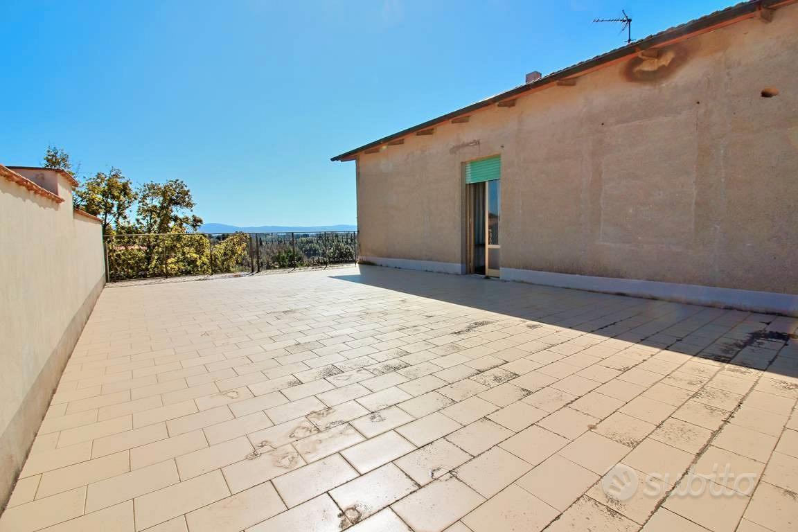 CASALE e Ulivi in Maremma - Vista 5