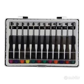 Set 12 Cacciaviti di Precisione Magnetici acciaio