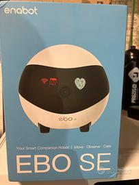 Robot interattivo EBO SE