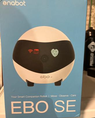 Robot interattivo EBO SE