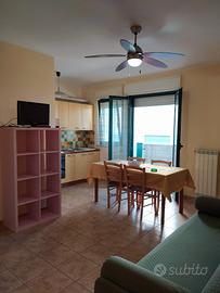 Ultime disponibilità Pineto vicino al mare