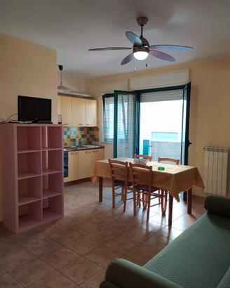 Ultime disponibilità Pineto vicino al mare