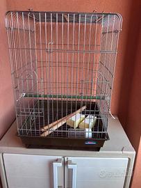 GABBIETTA PER UCCELLI 