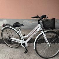 Bicicletta con cestello