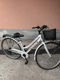Bicicletta con cestello