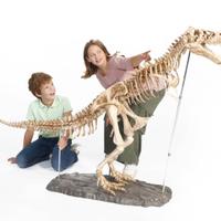 T-rex di 1.20m da costruire