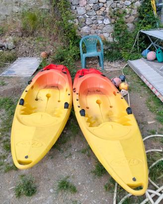 Kayak