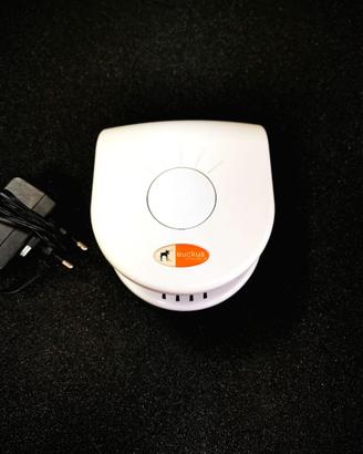 Ruckus Access Point / Router