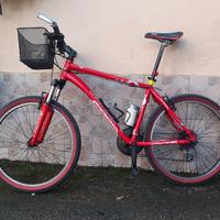 bicicletta MTB