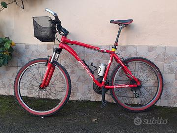 bicicletta MTB