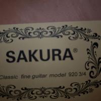 Chitarra ragazzo Sakura