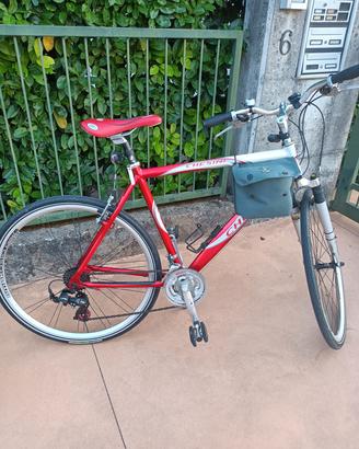 Una city bike da urlo
