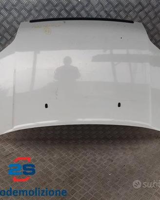 COFANO ANTERIORE FORD TRANSIT TOURNEO CONNECT (03-