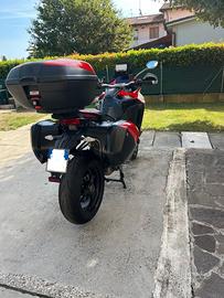 Bauletto Ducati Mts V4