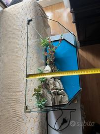 Aquario per Tartaruga