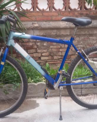 biciclette usate