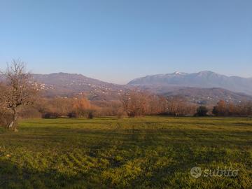 Terreno agricolo con fabbricato