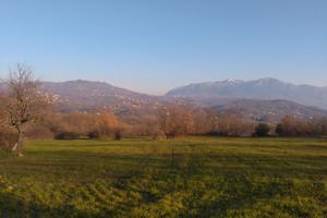 Terreno agricolo con fabbricato