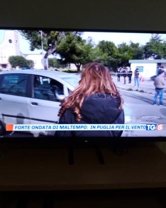 Televisore Sony 40 pollici