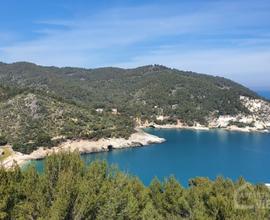 Villa Monti Pugnochiuso Vieste