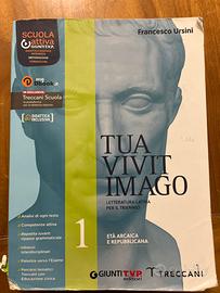 Liceo scientifico