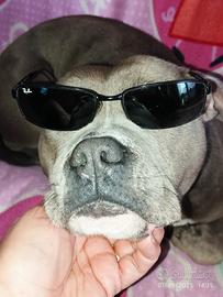 Occhiali da sole Rayban 