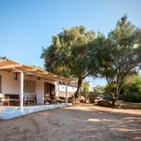 Palau Porto Pollo Nord Sardegna nel verde