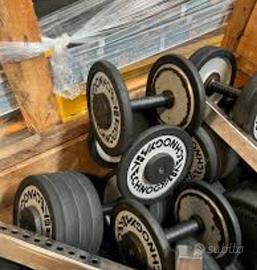 Manubri tecnogym 30 kg palestra