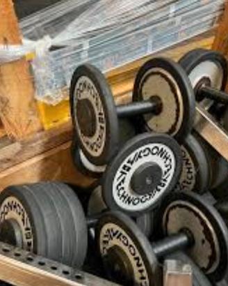 Manubri tecnogym 30 kg palestra
