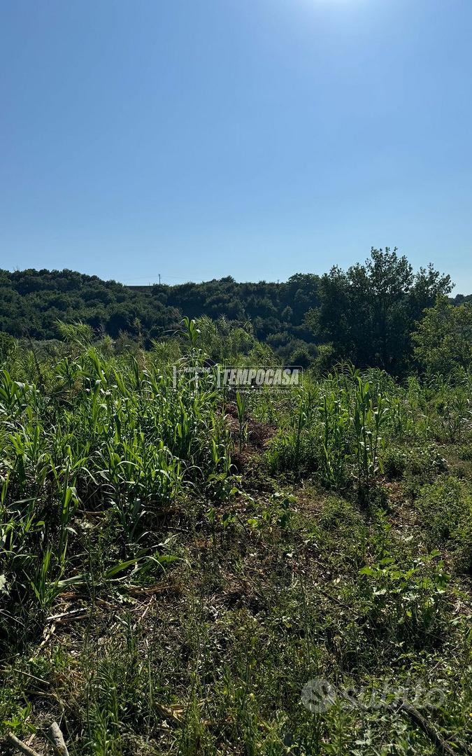 Terreno agricolo a Caserta Via Cancello - Vista 2