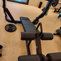 Technogym Olympic Decline Bench – Pure Strength