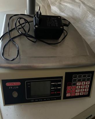 Bilancia professionale 