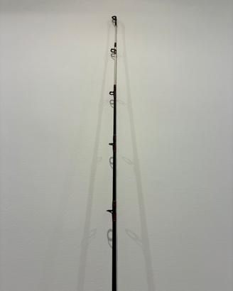 Canna da pesca AbuGarcia 12lb