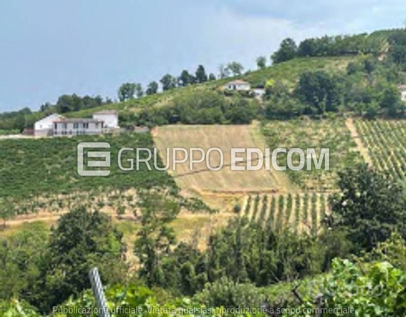 Terreno, Codevilla. - Vista 2