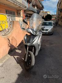 Sh 350 soprt 2023
