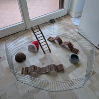 gabbietta recinto roditori