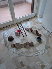 gabbietta recinto roditori