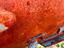 Immagine 23