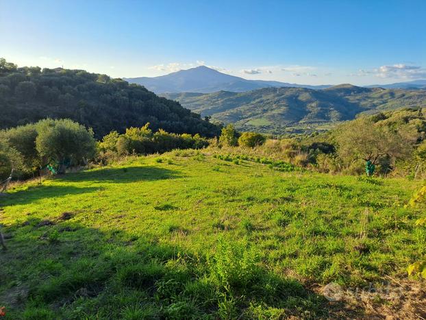 Terreno agricolo ad Ascea (non edificabile)